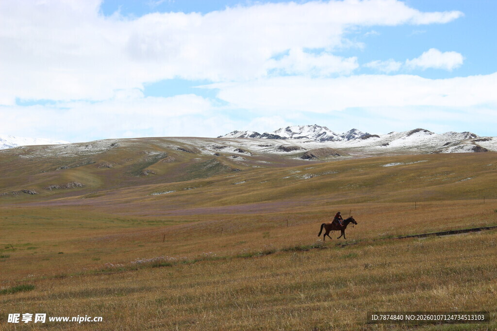 草原上策马驰骋的身影