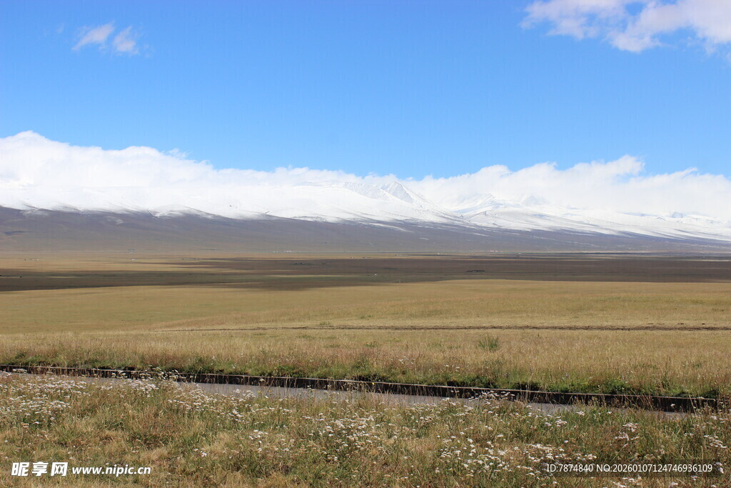 广袤草原风景