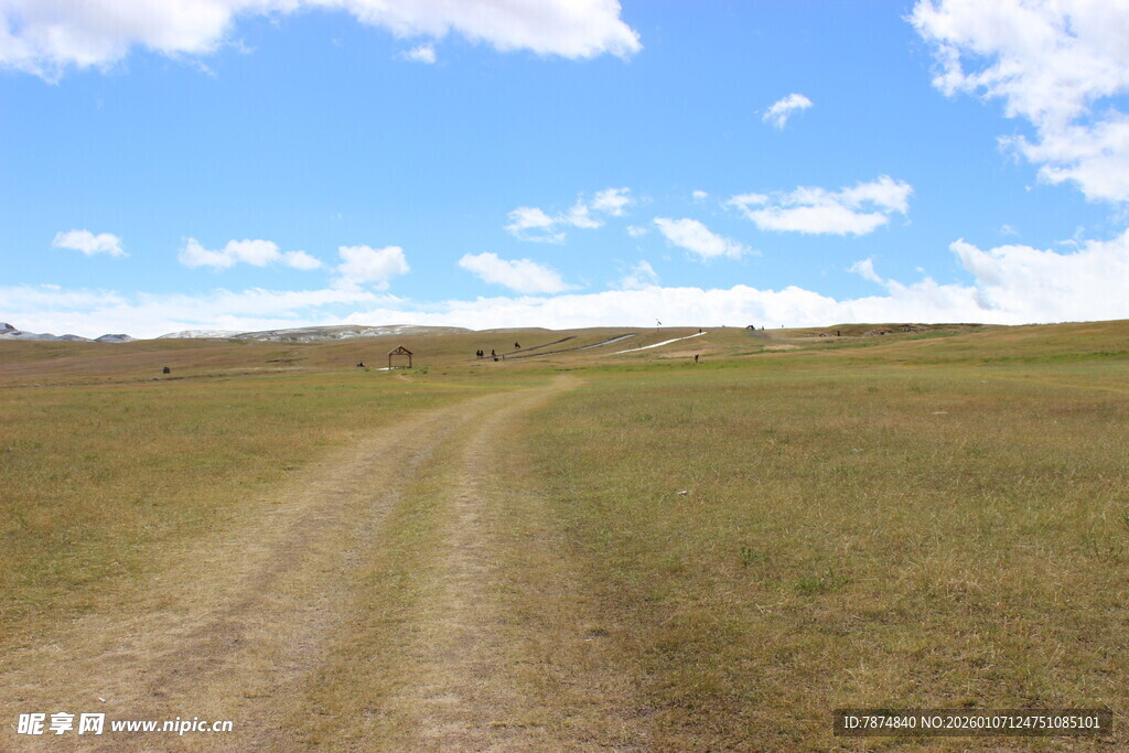 草原上的蜿蜒土路