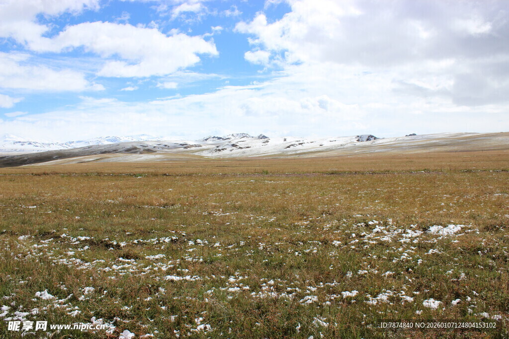 广袤草原与蓝天白云之景