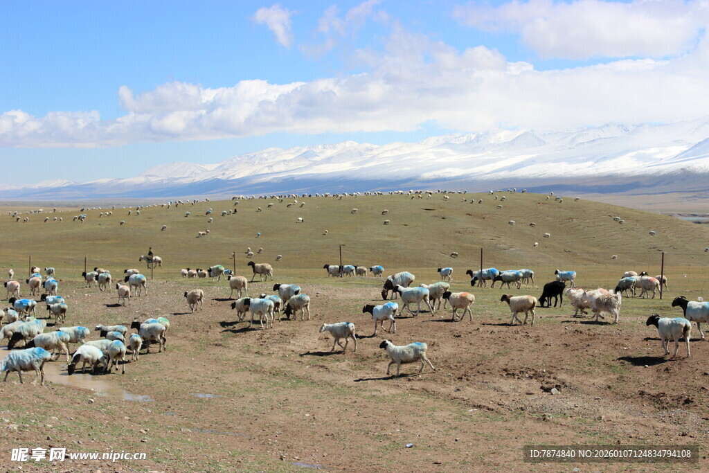 草原上的帐篷与人群