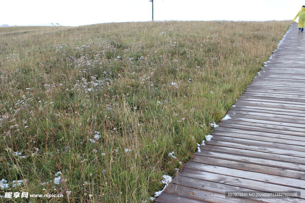 木板步道穿行于草地间