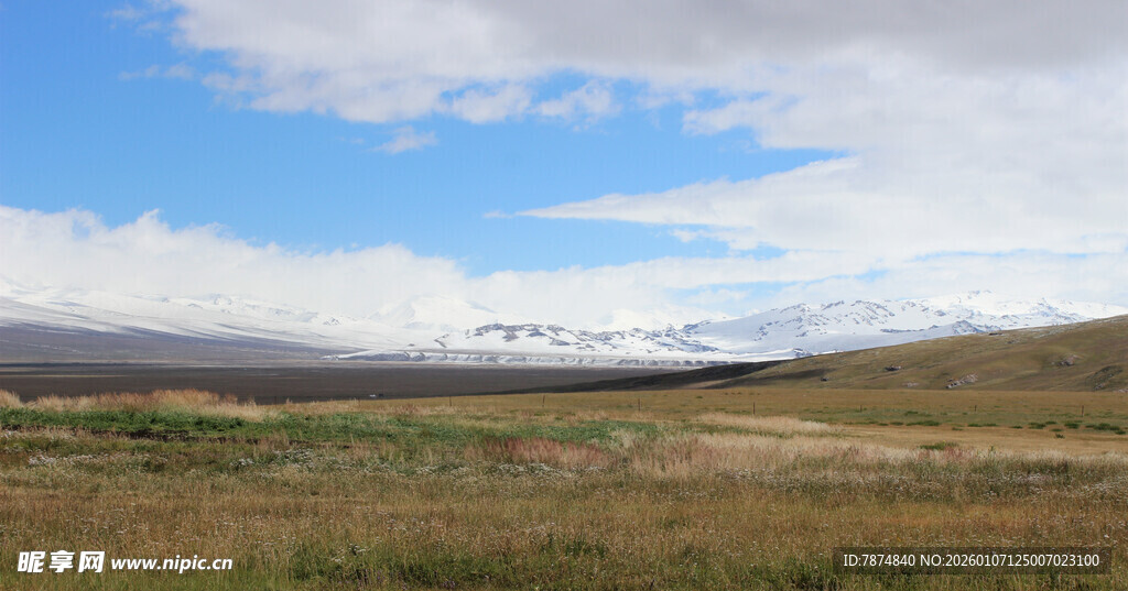 草原风光 远处雪山