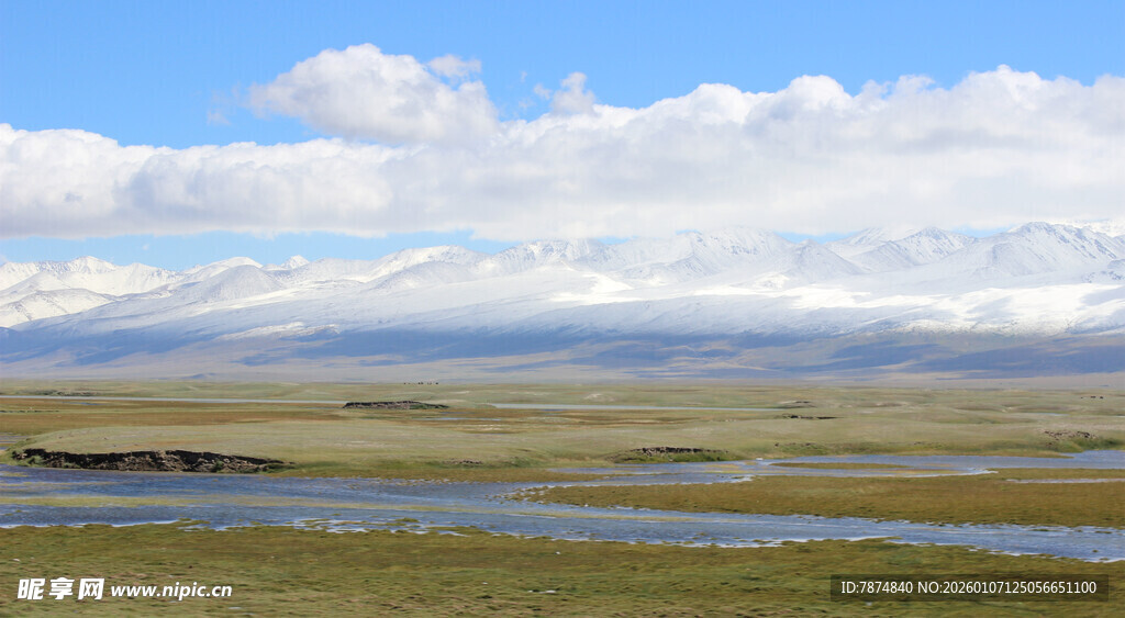 草原风光 蓝天白云映绿野