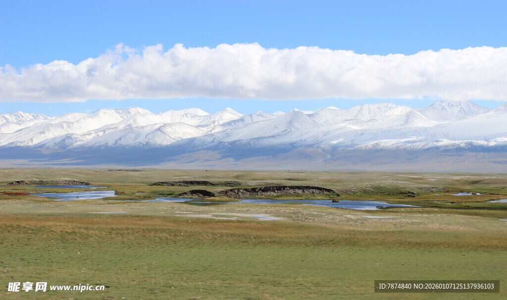 广袤草原与远处雪山景观