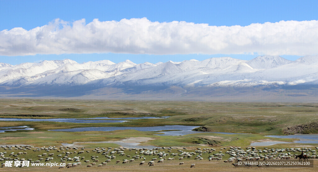 草原湿地风光美景