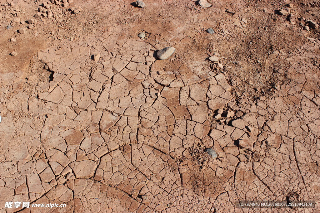 干裂的土地