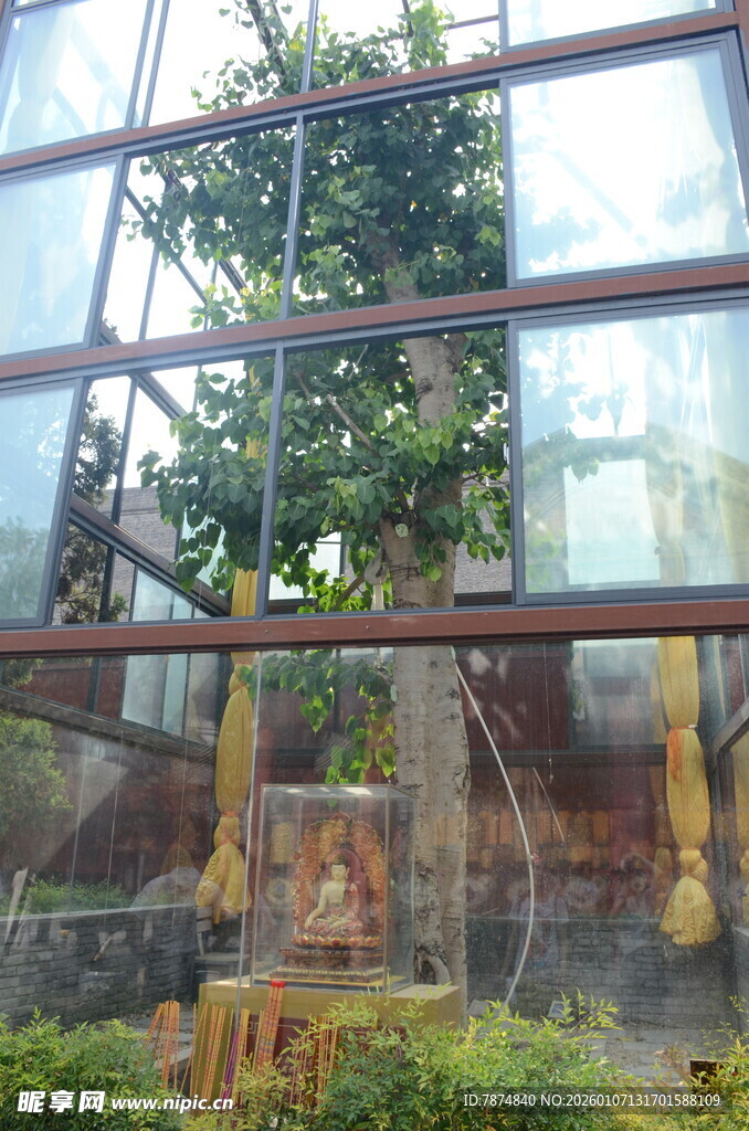 温室中的绿植景观