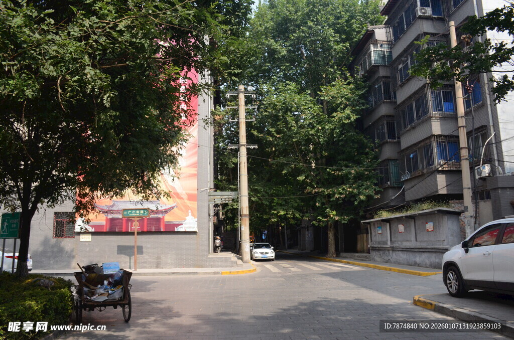 街道旁的楼房与绿树景观