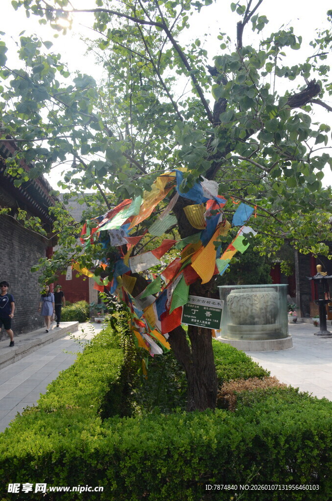 多彩雕塑装点园林景观