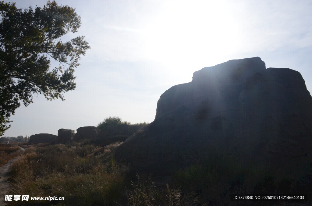 阳光下的岩石与树木景观