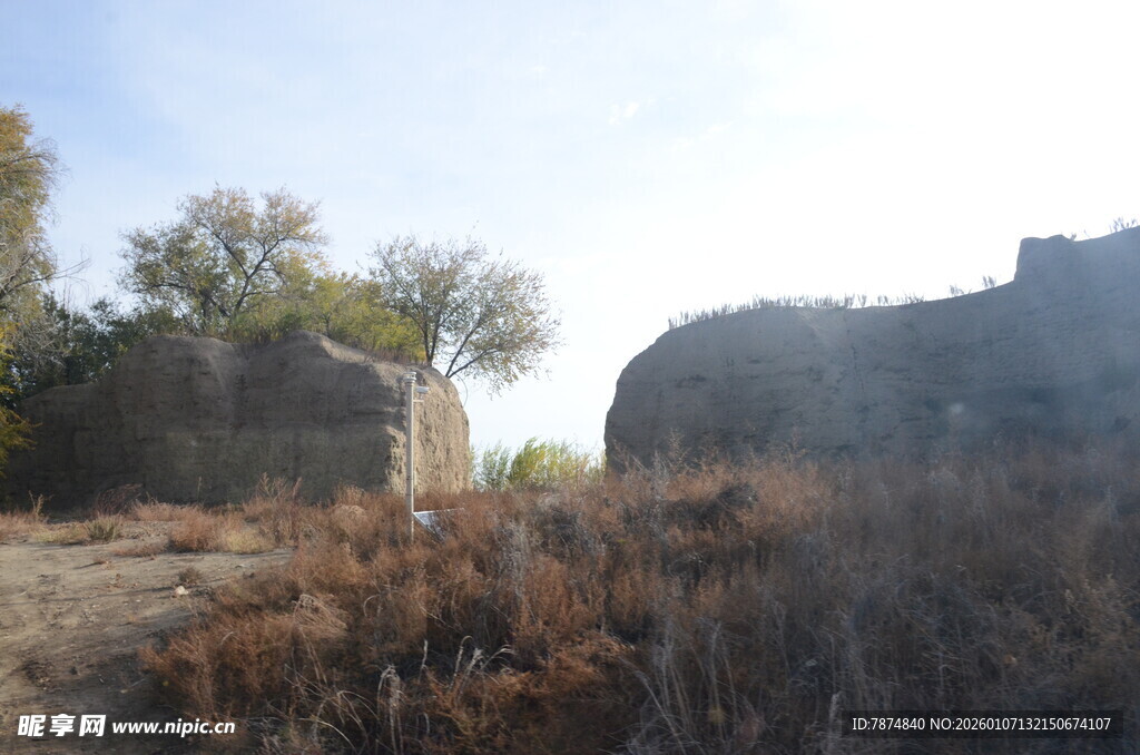 荒野中的古老石堆与树木