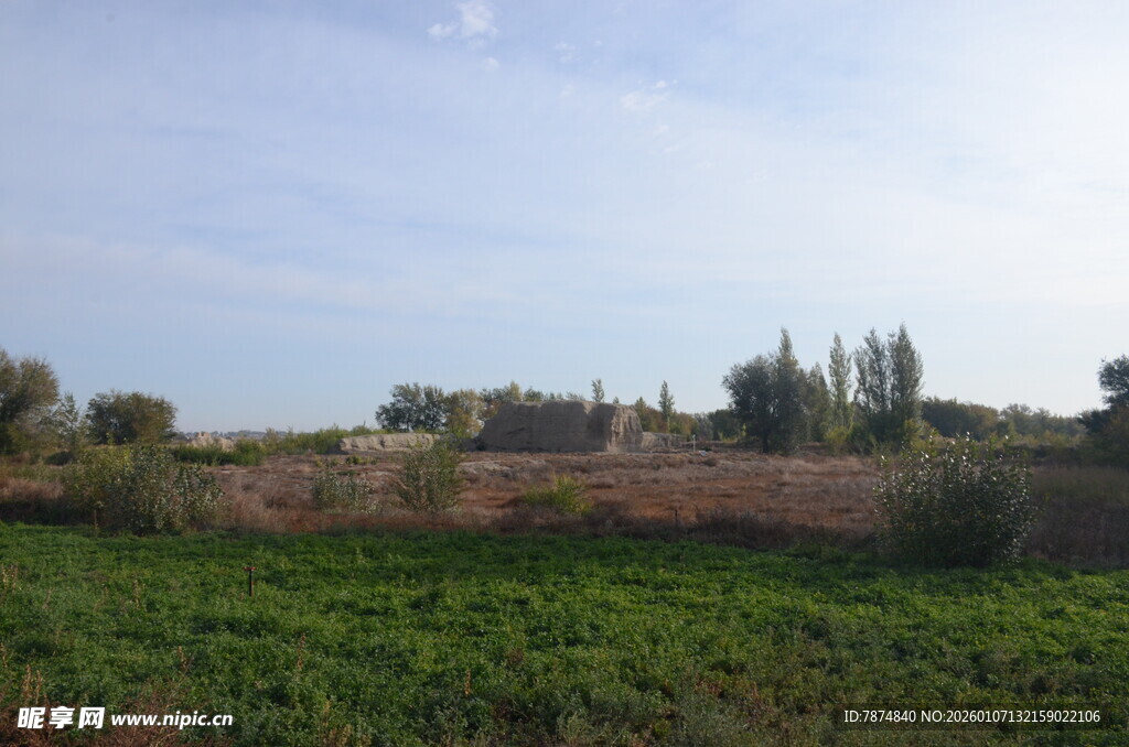 田野风光 绿意盎然的景致