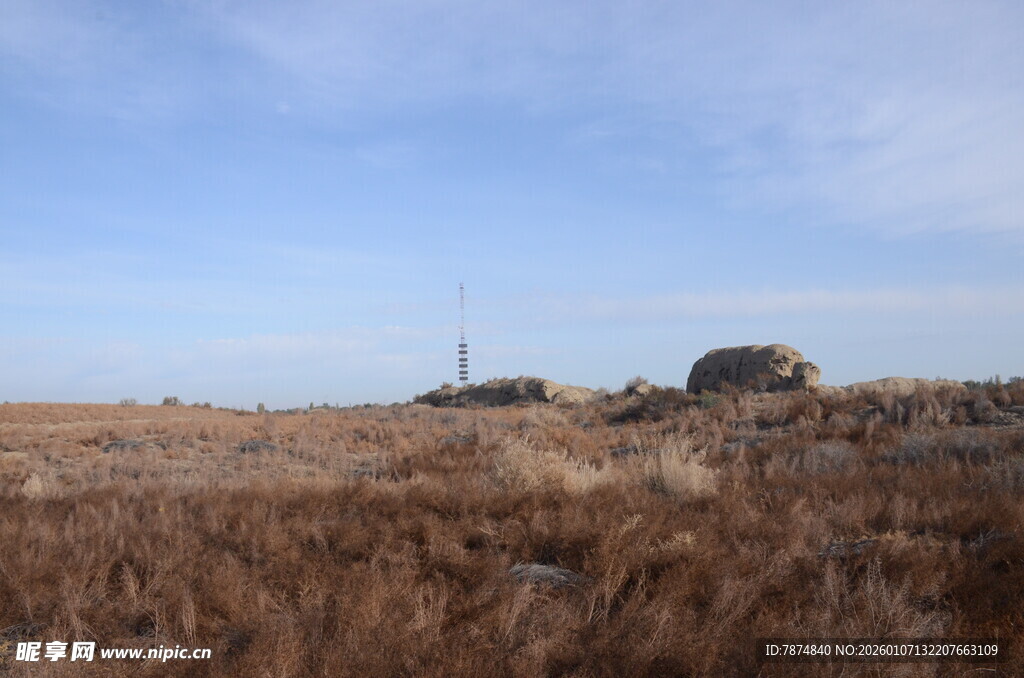 广袤荒野中的静谧景象