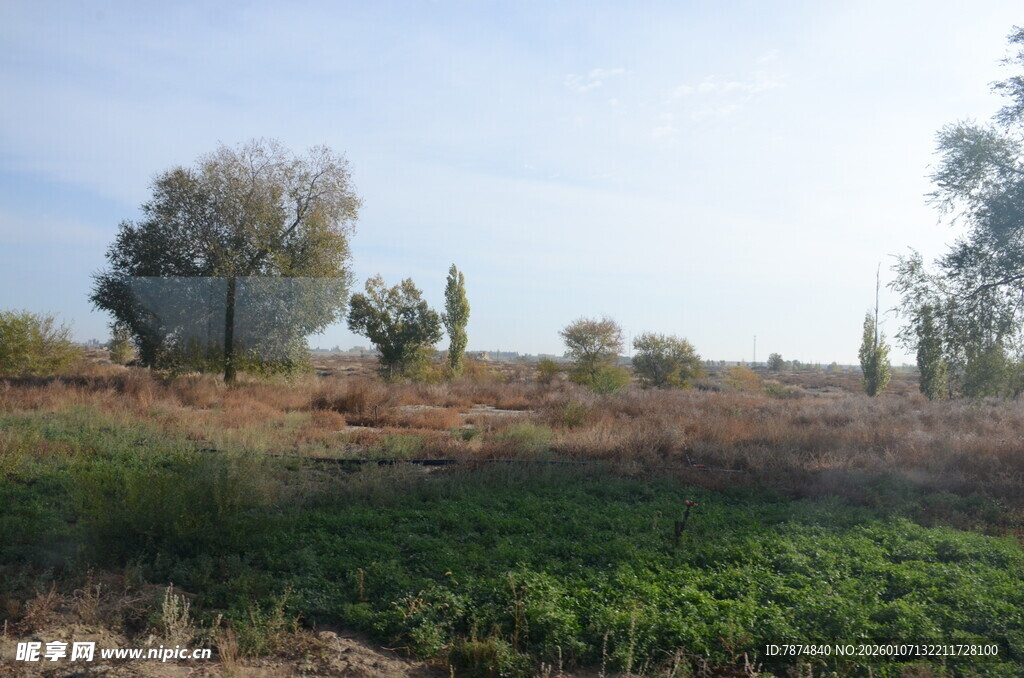 乡村田野风光景色