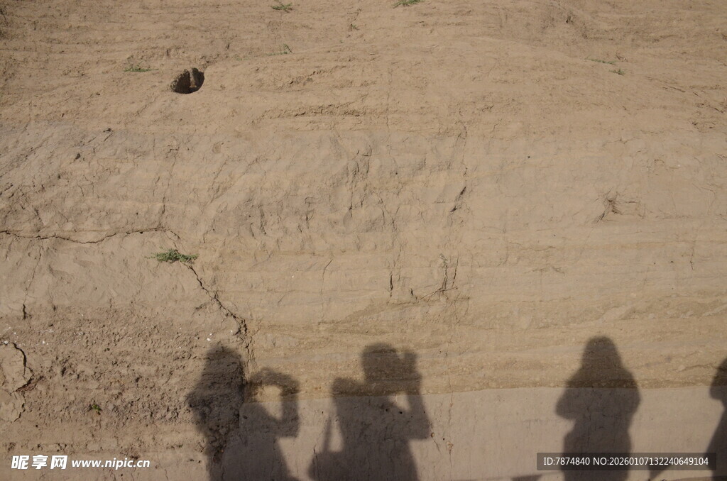 沙漠中人们的身影与飞鸟