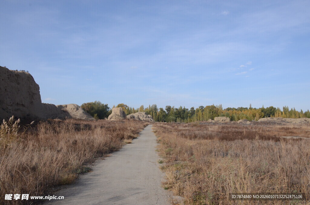 荒野中的蜿蜒小径