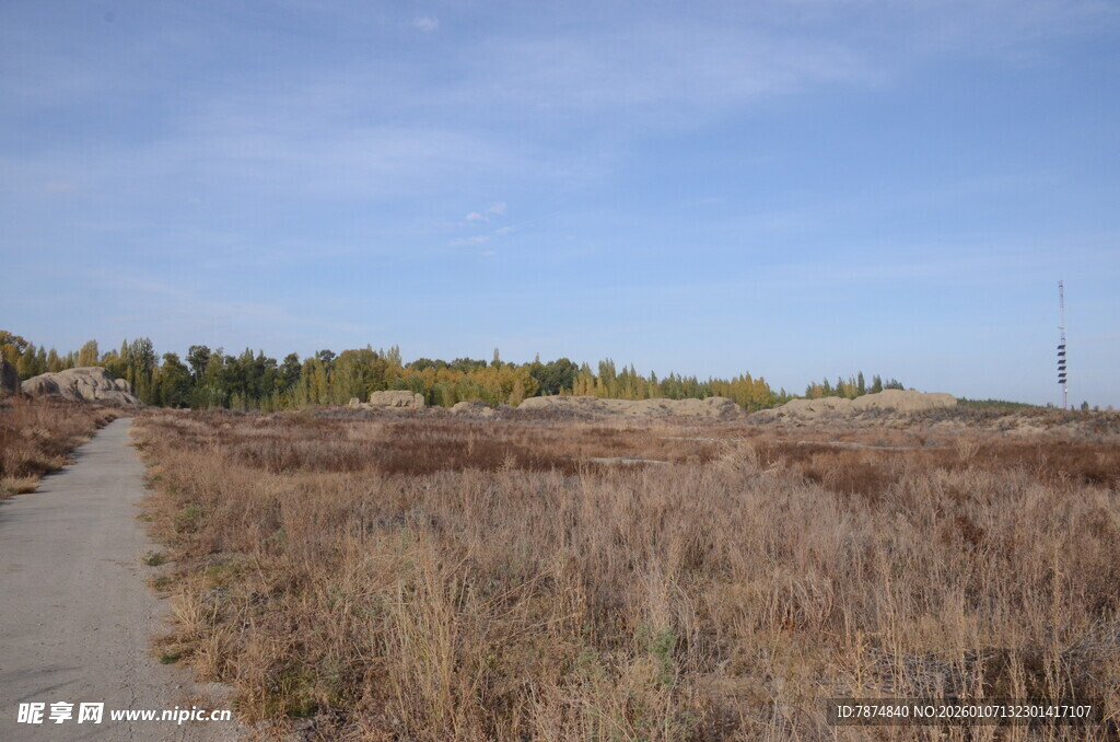 秋日旷野中的干草小径