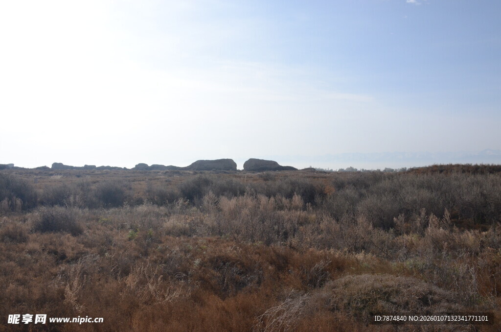 荒凉旷野景观