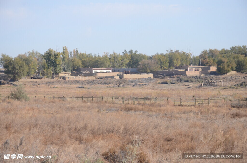 秋日旷野中的村落景象