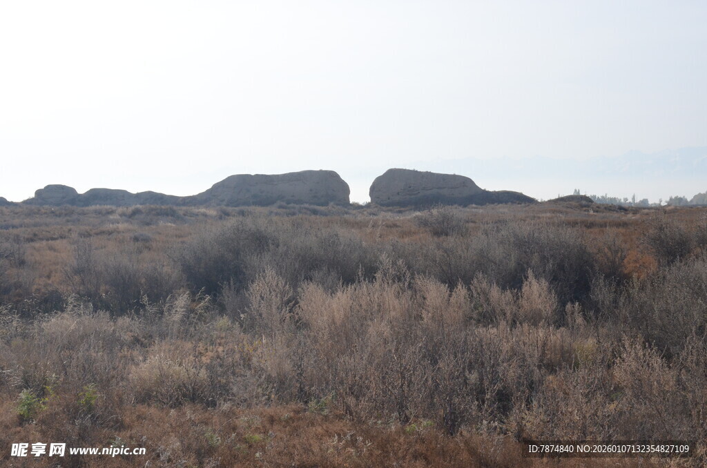 荒野中的岩石景观
