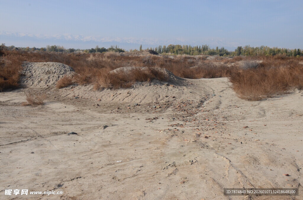 荒芜沙地景观