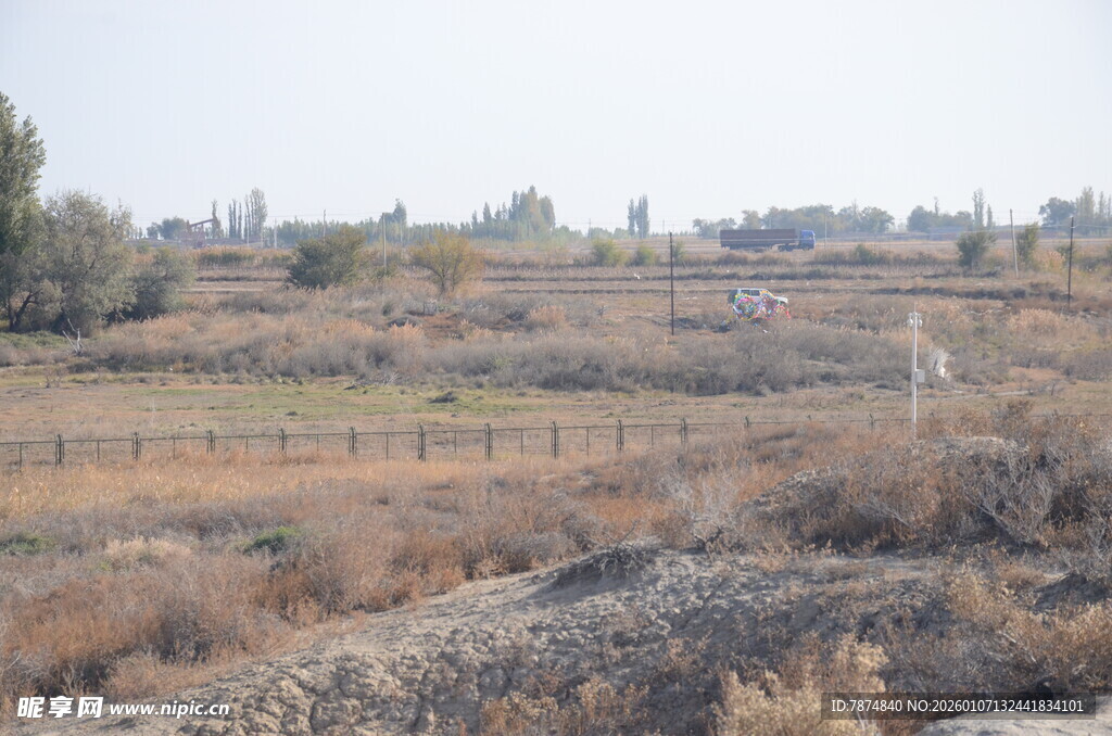 荒野中的开阔土地景象