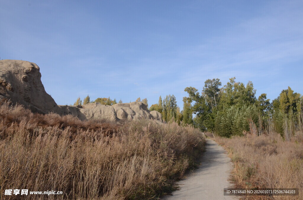 荒野小径旁的枯黄芦苇与蓝天