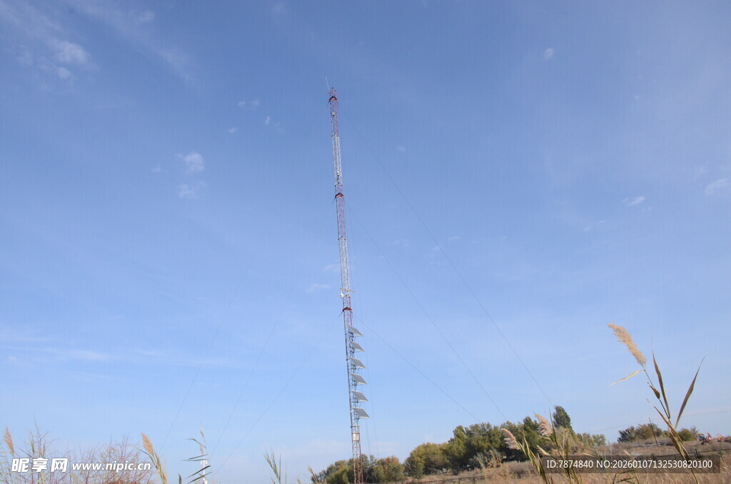高耸的通信铁塔