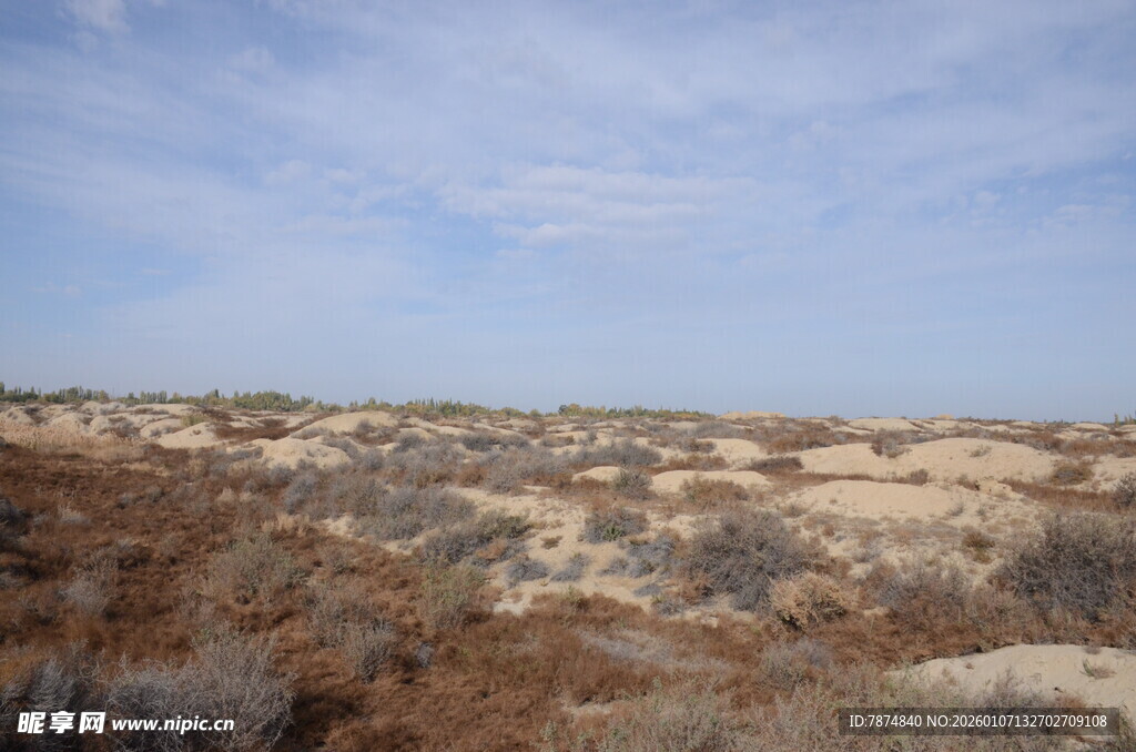 荒漠景观 稀疏植被与蓝天