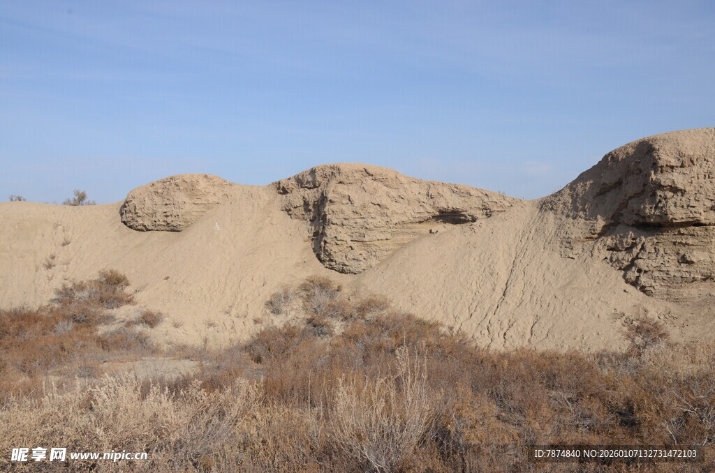 沙漠中的奇特土丘景观