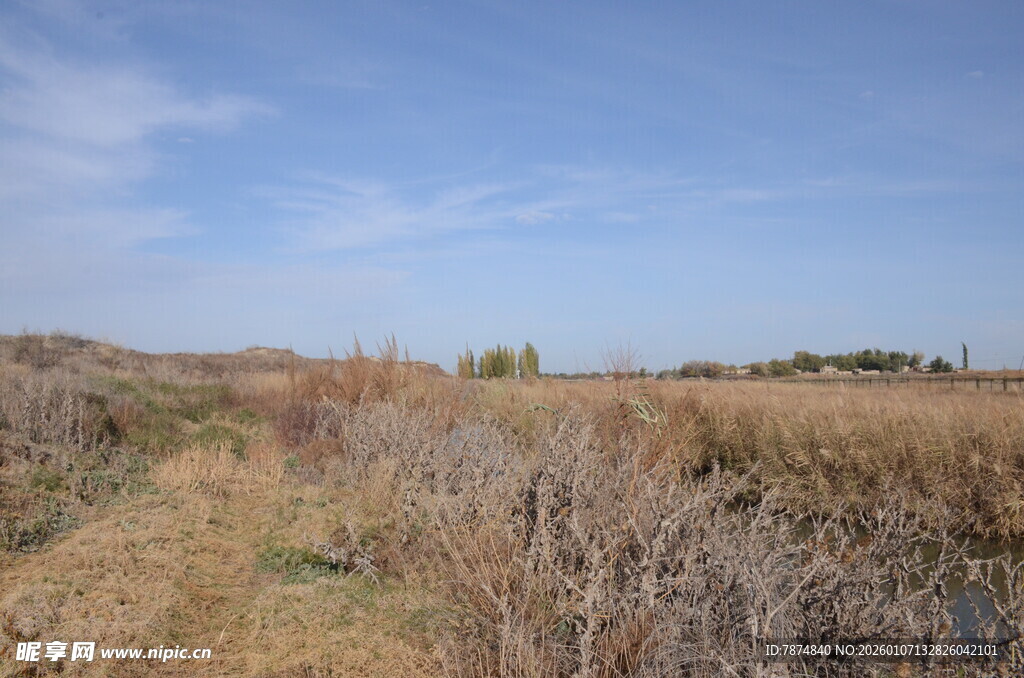 旷野荒景 秋意萧瑟