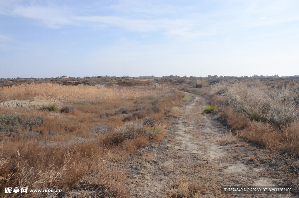 荒野中的一条土路