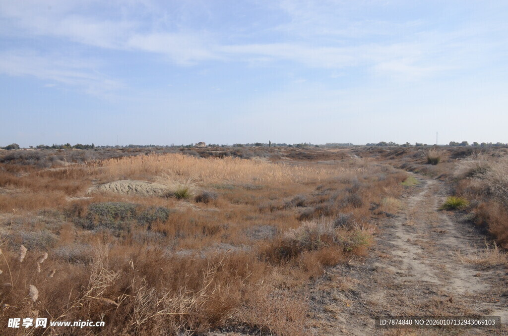 荒野中的蜿蜒小路