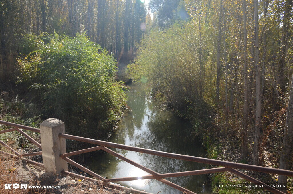 林间溪流旁的铁栏杆景观