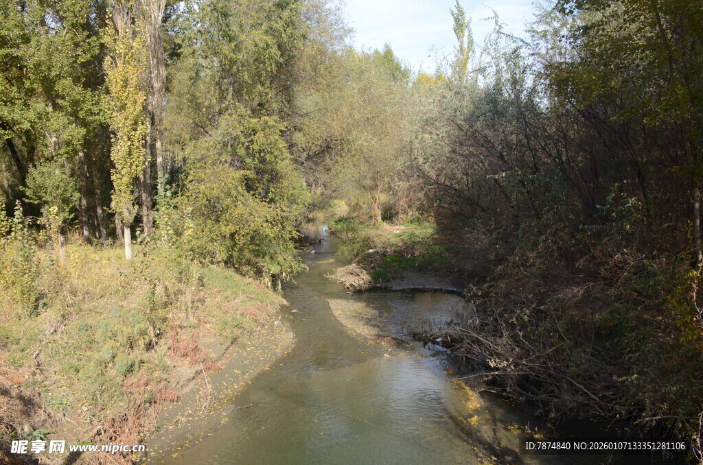林间潺潺溪流美景