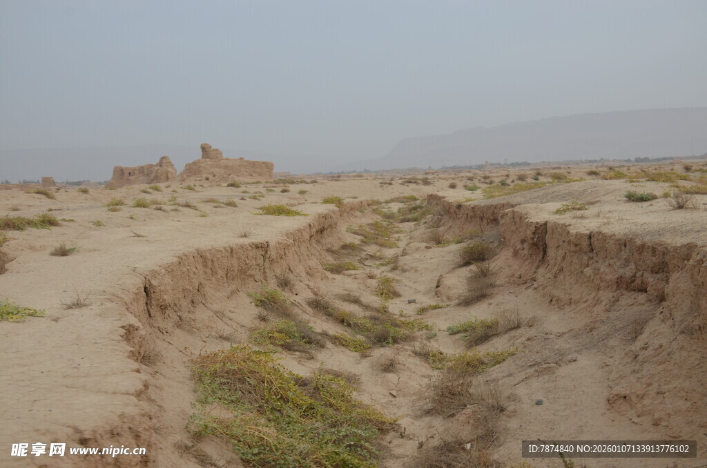 沙漠中的古老遗迹景观