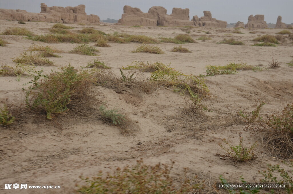 沙漠中的稀疏植被与建筑遗迹