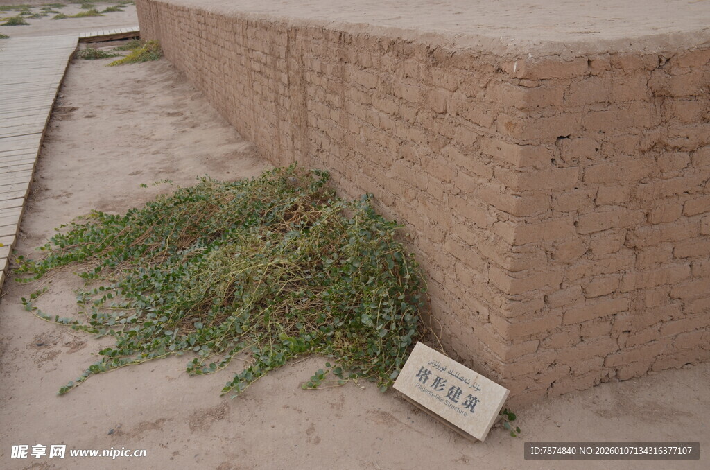 墙边杂草与标识牌