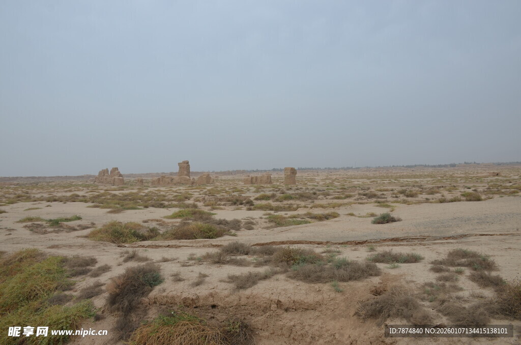广袤荒漠中的稀疏植被