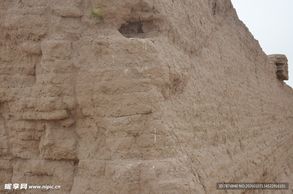 埃及狮身人面像局部