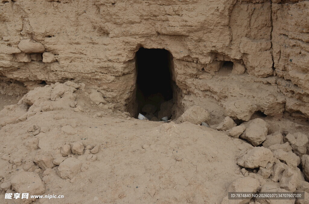 土坑中的黑色动物
