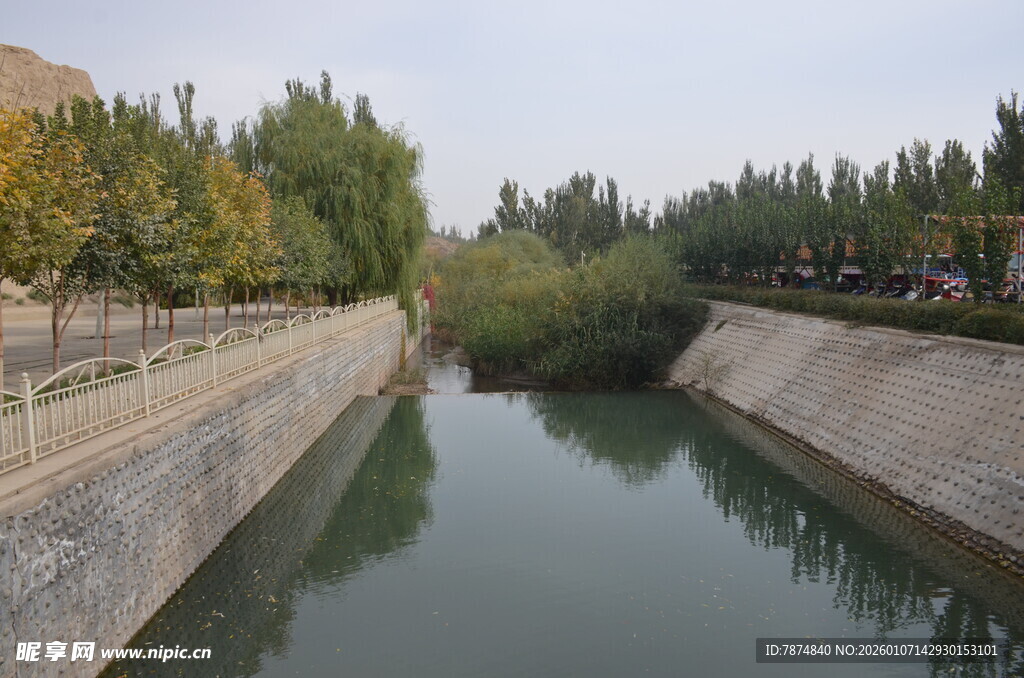 宁静河道旁的绿树景致