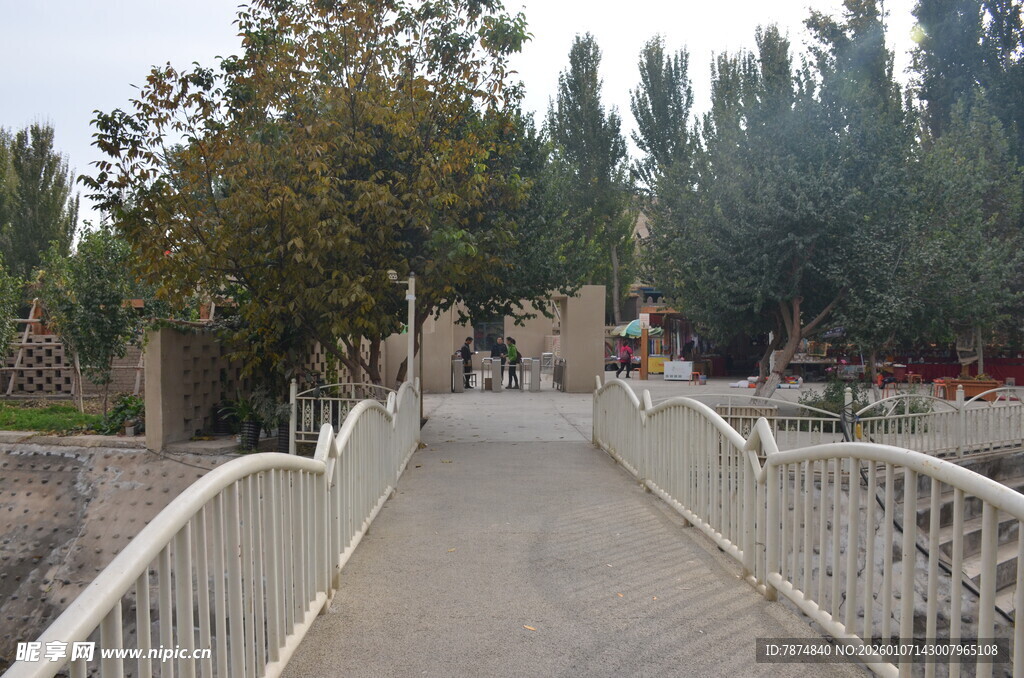 乡村白色桥边的绿树景致