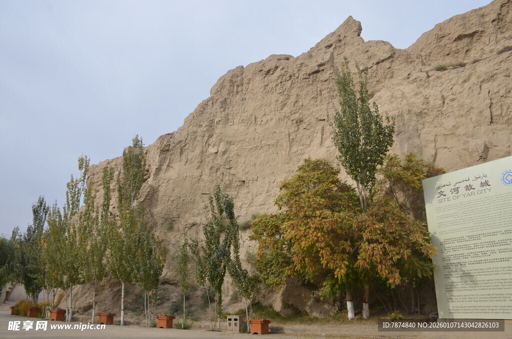 沙漠旁的绿树与建筑景观