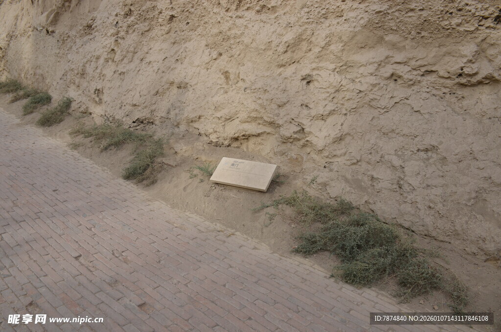 路边石碑与丛生野草