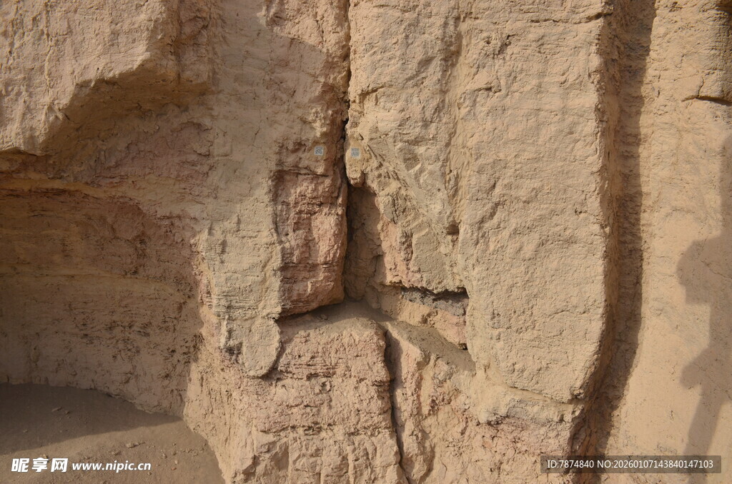 石壁上的奇特昆虫