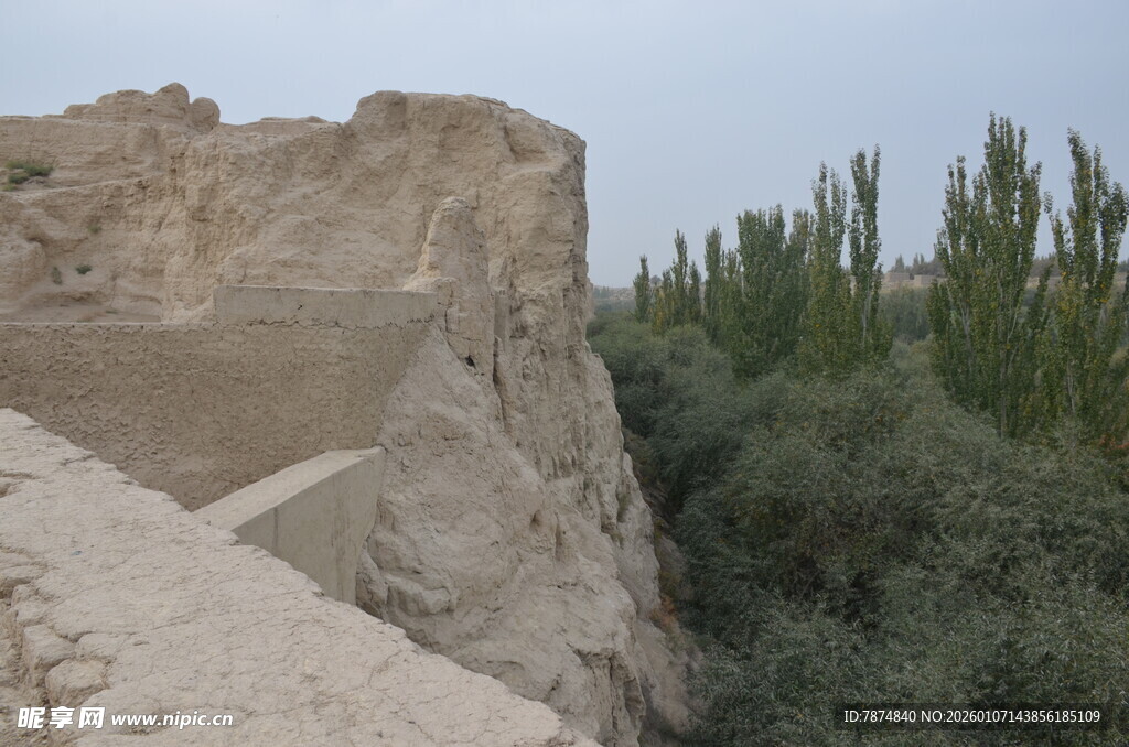 古老土墙旁的葱郁植被