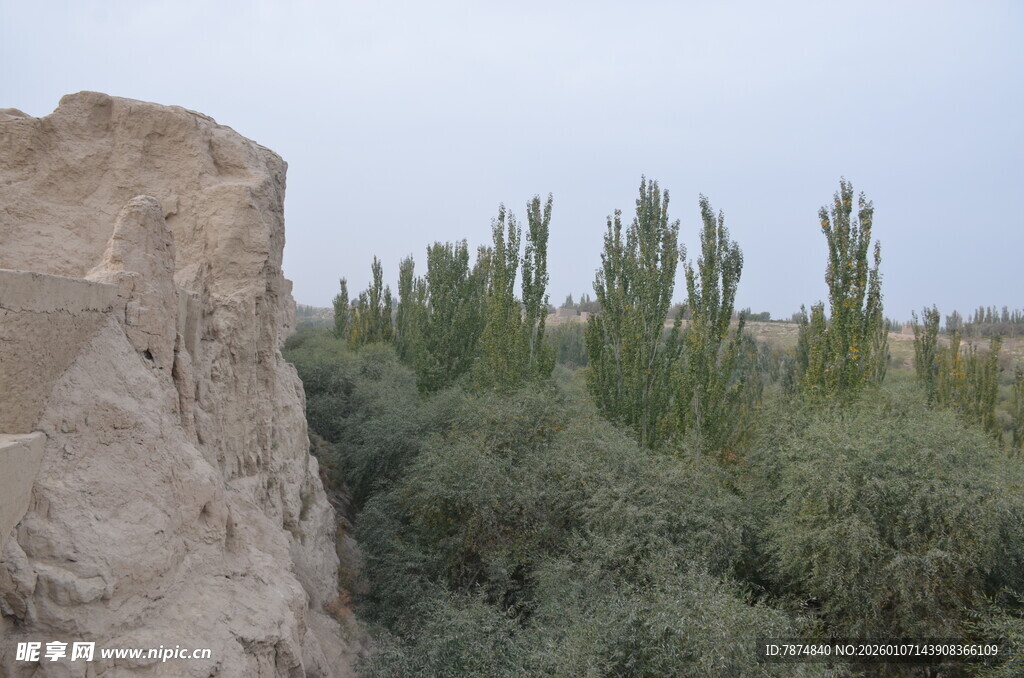 石墙旁的葱郁绿植景观
