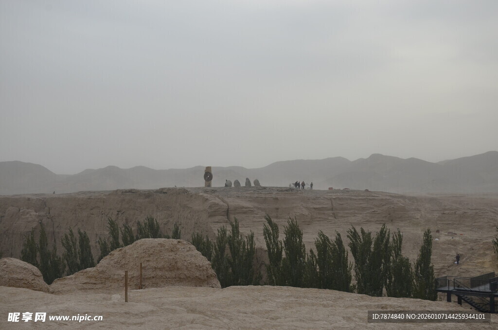 沙漠中的建筑与绿植景观